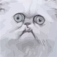 Стикер AllBullshit @LastBang - 1