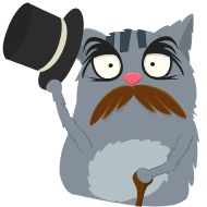 Стикер Animated Cat @stickersb2b - 2