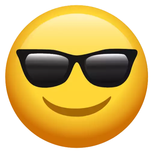 sunglasses goggles eyewear