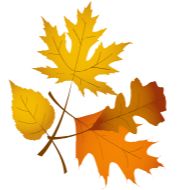 Sticker Autumn 🍁 @Sticker_Awwww - 11