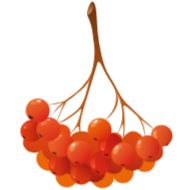 Sticker Autumn 🍁 @Sticker_Awwww - 2