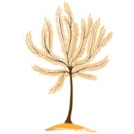 Sticker Autumn 🍁 @Sticker_Awwww - 1