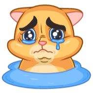 мультипликация мультфильм мультипликация