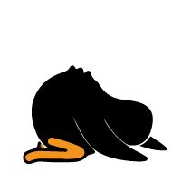 Sticker Black Duck - 4