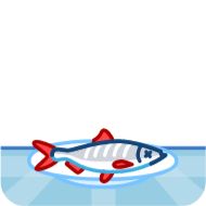 рыба лого аква