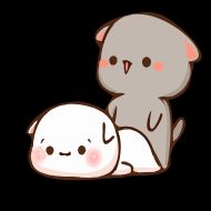 Стикер 🐈 CAT LOVE ❤️ @MBBS_LOVER - 7