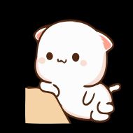 Стикер 🐈 CAT LOVE ❤️ @MBBS_LOVER - 5