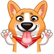 эскиз собака рисование