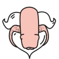 клипарт рисование эскиз