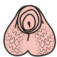 рисование эскиз клипарт