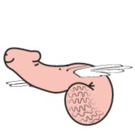 рисование эскиз клипарт