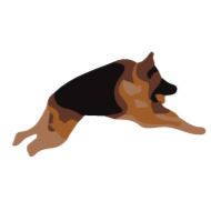 животное млекопитающее порода собак