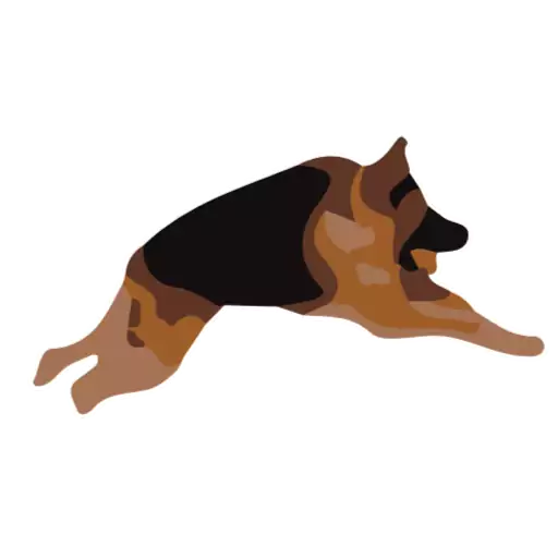 animal mammal dog breed