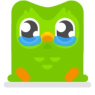 Стикер Duolingo - @Awastick_maydroid - 3