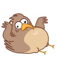 illustration drawing bird