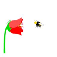 Sticker Flowers- @cocopry - 8