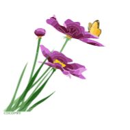 Sticker Flowers- @cocopry - 6