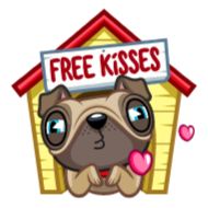 СМС мультфильм мультипликация