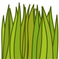 зеленый ткань