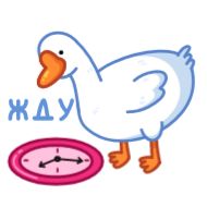 Sticker Гусь - @TgSticker - 11