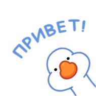 Стикер chpic.su • @Premium_EmojiTG | Гусь - 4