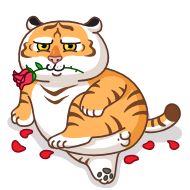 Стикер Grumpy Tiger • @StickBook18 - 1