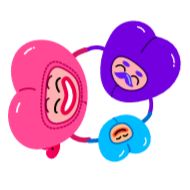 круг наушники наушник