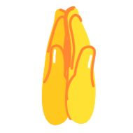 аксессуар обувь