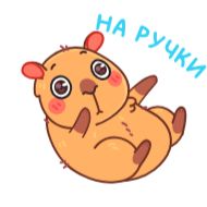 Стикер chpic.su • @Premium_EmojiTG | Иппи - 3