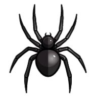 беспозвоночный животное паук