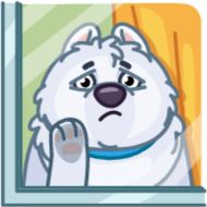 sketch dog child art