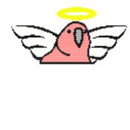 Sticker Попуг - 6