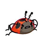 жук мультфильм божья коровка