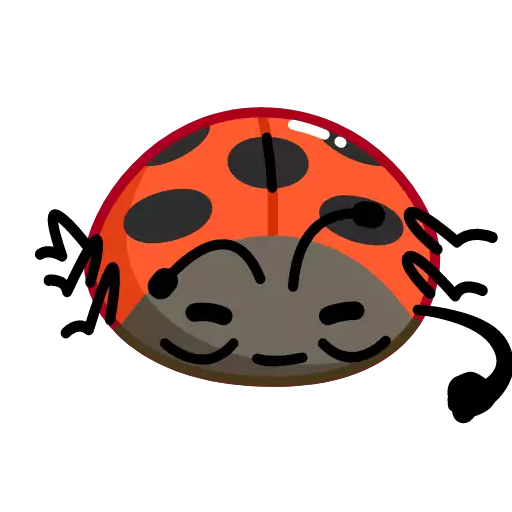 invertebrate ladybug beetle