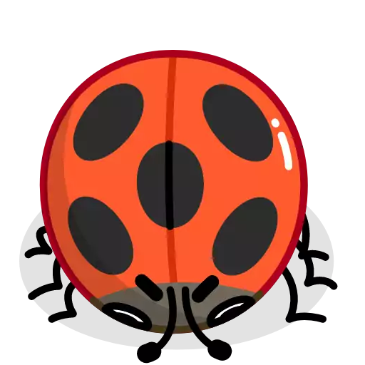 beetle invertebrate insect