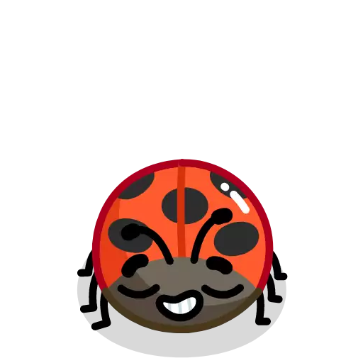 ladybug invertebrate beetle