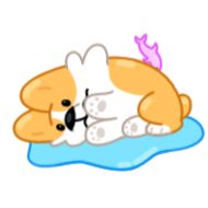 Sticker Corgi Life - 9