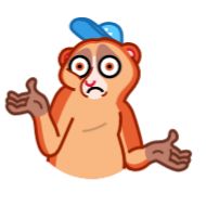 Sticker Loris - 6