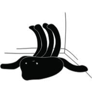 Стикер Meduzka - 9