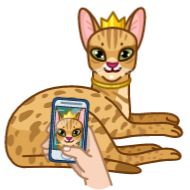 кошка млекопитающее эскиз