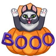 клипарт кошка мультфильм