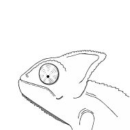 Стикер MisanTropicals - 4