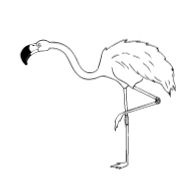 Стикер MisanTropicals - 0