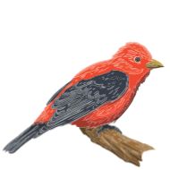 Sticker Разное @Sticker_Awwww - 10