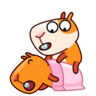 Sticker Мистер Морской свин @TgSticker - 10