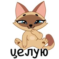 Стикер Муронька @TgSticker @SozdaiStickeriBot - 10