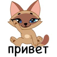 Стикер Муронька @TgSticker @SozdaiStickeriBot - 4