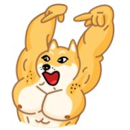 Стикер Doge - 10