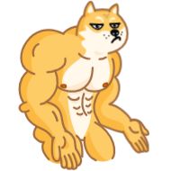Стикер Doge - 9