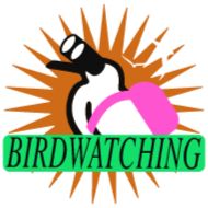 text graphic design graphics